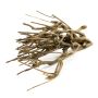 MANDY decorative twigs, bundle, beige-brown, 40 cm
