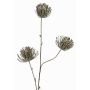 Artificial protea pin cushion branch KAPO with glitter, olive green, 33"/85cm, Ø3.1"/8cm