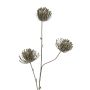 Artificial protea pin cushion branch KAPO with glitter, olive green, 33"/85cm, Ø3.1"/8cm