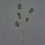 LORISU artificial wild teasel branch, petrol green, 65cm, Ø3-4cm