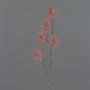 NUMBAT artificial witch hazel branch with flowers, dusky pink, 70cm, Ø6cm
