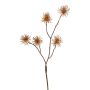 NUMBAT artificial witch hazel branch with flowers, orange, 70cm, Ø6cm