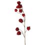 Artificial physalis branch AINOS, fruits, glitter, burgundy, 80cm
