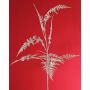 Decorative Asparagus plumosus branch GIONA, silver, 33"/85cm