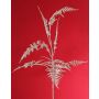 Decorative Asparagus plumosus branch GIONA, silver, 85cm