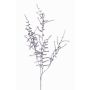 Artificial Asparagus acutifolius PARNASO branch, silver, 3ft/100cm