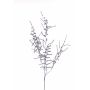 Artificial Asparagus acutifolius PARNASO branch, silver, 100cm