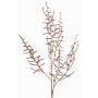 Artificial Asparagus acutifolius PARNASO branch, copper, 3ft/100cm