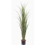 Artificial sugarcane SITHAMI, crossdoor, green, 4ft/115cm