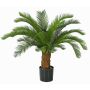 Cycas SLITAL decorative palm, 31"/80cm