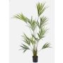 Artificial Kentia palm PAIGE, 6ft/185cm