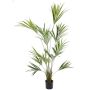 Artificial Kentia palm PAIGE, 6ft/185cm