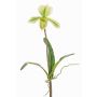 Artificial Paphiopedilum orchid VELANA, spike, green-white, 16"/40cm