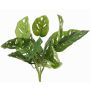 Artificial Philodendron Monstera adansonii ARKADIO, stick, 16"/40cm