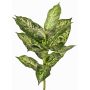 Artificial Dieffenbachia VISP, flame-retardant, stem, green-white, 16"/40cm