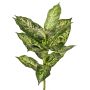 Artificial Dieffenbachia VISP, flame-retardant, stem, green-white, 16"/40cm