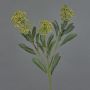Artificial skimmia branch LAUSANA with flowers, green, 26"/65cm, Ø2.8"/7cm
