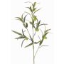 Artificial balloon spurge branch TASMIN, fruits, green, 37"/95cm