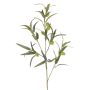Artificial balloon spurge branch TASMIN, fruits, green, 37"/95cm