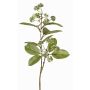 Artificial dogwood branch PANGO with buds, green-white, 28"/70cm, Ø2.8"/7cm