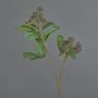 Artificial dogwood branch PANGO with buds, dark purple, 70 cm, Ø7 cm