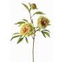 Artificial branch peony MANJA, green-fuchsia, 28"/70cm, Ø3.1"-3.9"/8-10cm