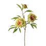Artificial branch Peony MANJA, green-fuchsia, 28"/70cm, Ø3.1"-4"/8-10cm