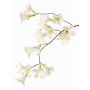 Artificial jasmine trumpet branch AURINA, white, 35"/90cm