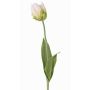 Artificial flower parrot tulip UAKARI, white-green, 26"/65cm, Ø2.4"/6cm