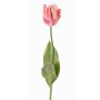 Artificial flower parrot tulip UAKARI, pink-cream-green, 26"/65cm, Ø2.4"/6cm