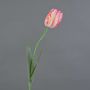Artificial flower Parrot tulip UAKARI, pink-cream-green, 26"/65cm, Ø2.4"/6cm