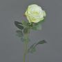 False rose HUSA, white-green, 30"/75cm, Ø4"/10cm