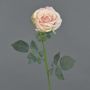 False rose HUSA, pink-cream, 30"/75cm, Ø4"/10cm