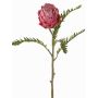 Artificial protea BREGANSA, dusky pink, 65cm, Ø7cm