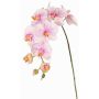 Decorative branch Phalaenopsis orchid WESA, pink-white, 3ft/100cm