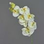 Decorative branch Phalaenopsis orchid WESA, white-green, 3ft/100cm