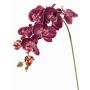 Decorative branch Phalaenopsis orchid WESA, dark violet-white, 3ft/100cm