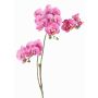 Artificial branch Phalaenopsis orchid VILLANI, pink-fuchsia, 24"/60cm, Ø1.4"-2"/3.5-5cm