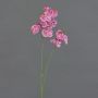 Artificial branch Phalaenopsis orchid VILLANI, pink-fuchsia, 26"/65cm