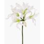 Artificial garden amaryllis KUSTANA, white and green, 70cm, Ø10–16cm