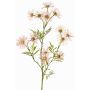 Artificial daisy KORNELA, light pink, 70cm, Ø6cm