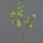 Artificial tea plant branch ZEWENGA with flowers, light green, 33"/85cm, Ø1"-1.2"/2.5-3cm