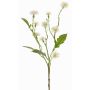 Artificial meadow knapweed HOLLA, white, 22"/55cm, Ø1.2"-1.6"/3-4cm