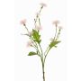 Artificial meadow knapweed HOLLA, pale pink, 22"/55cm, Ø1.2"-1.6"/3-4cm