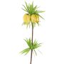 False fritillaria imperialis IMST, yellow, 26"/65cm