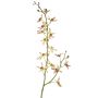 Artificial branch Cattleya orchid TRASSA, light green-red, 31"/80cm, Ø1.6"-3.1"/4-8cm