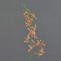 Artificial branch Cattleya orchid TRASSA, orange-yellow, 31"/80cm