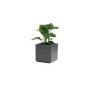 Square flower tub NASTASJA made of recycled plastic, with water reservoir, casters, anthracite, 16"x16"x15"/39,5x39,5x38cm, 35L