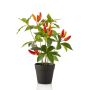 Artificial Chili plant KIRKI with fruits, in decorative pot, orange-red, 14"/35cm