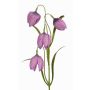 Fake chequered lily SANEM, purple, 18"/45cm, Ø1.2"/3cm